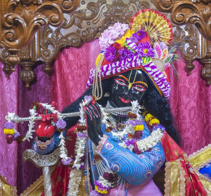 Image gallery image