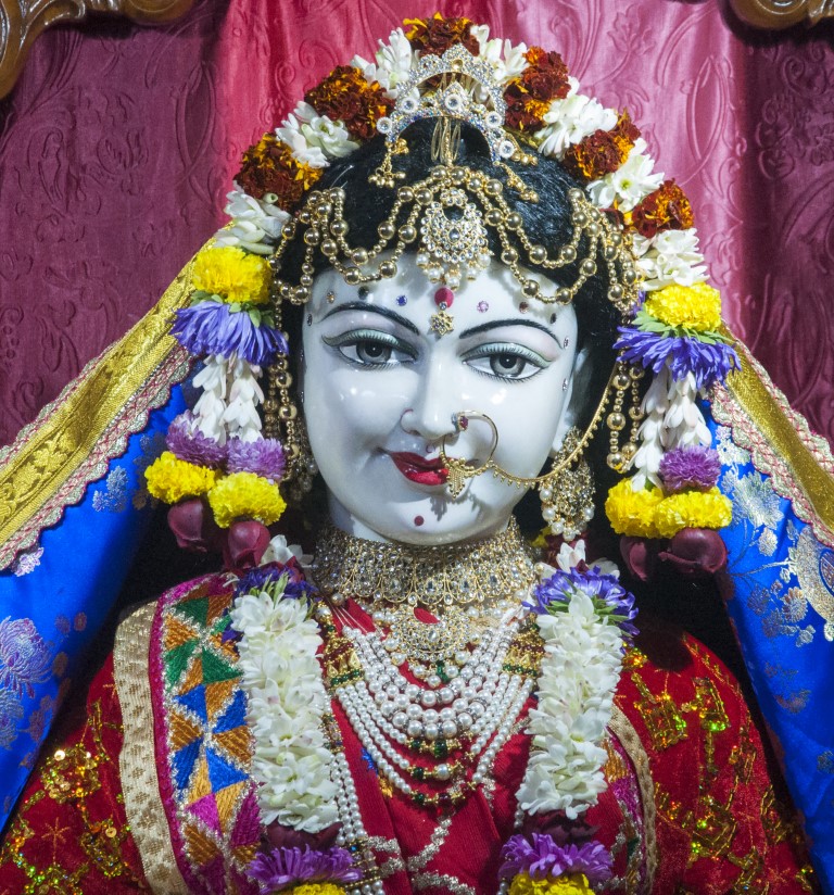Image gallery image