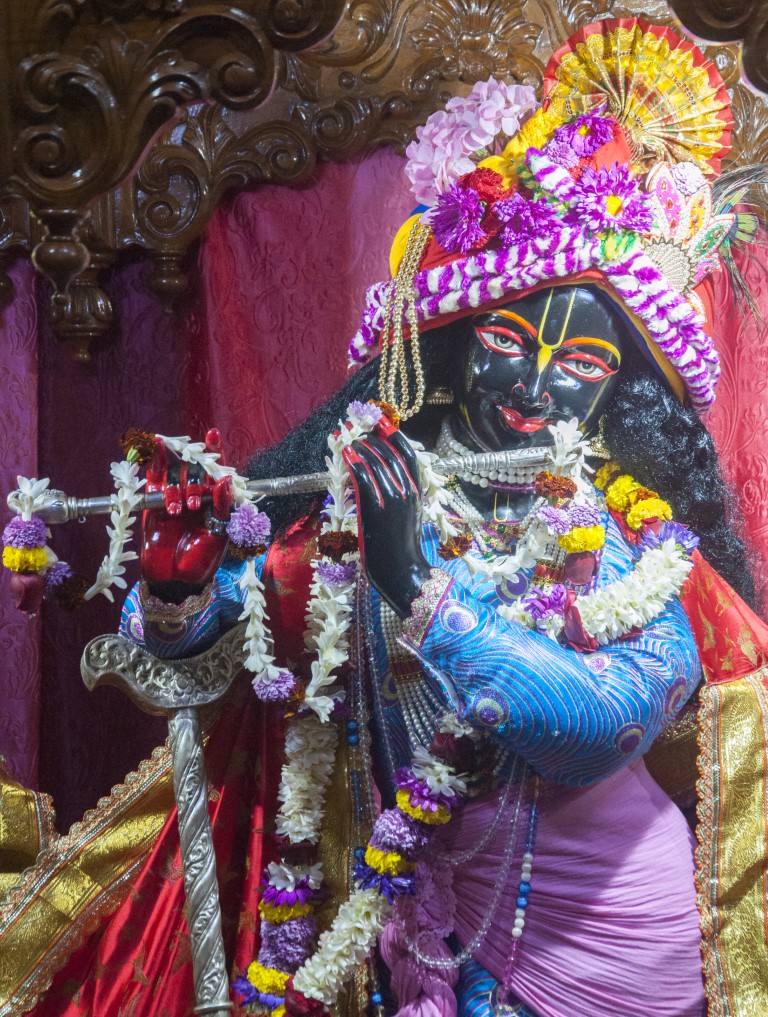 Image gallery image