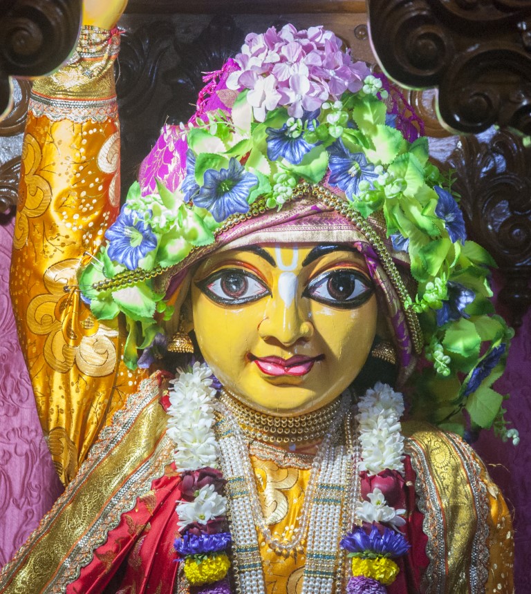 Image gallery image